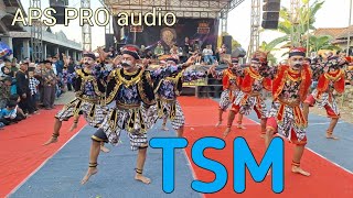 soreng TSM/turonggo setyo mudo live saparan batur getasan kab semarang