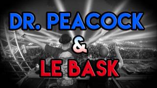Dr. Peacock & Le Bask @ Insane Festival 2016
