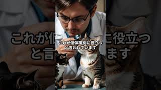 猫の知られざる秘密 1   #猫 #ネコ #ねこ #豆知識