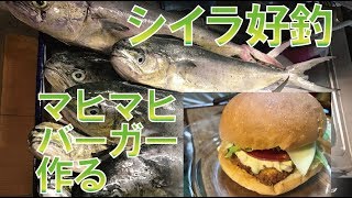 シイラ釣ってマヒマヒバーガーを作る