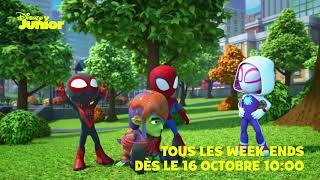 Spidey et ses amis extraordinaires - Présentation des personnages