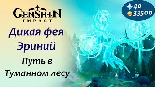 Genshin Impact | Путь в туманном лесу | Дикая фея Эриний | Разгадайте тайны алтаря