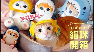 滿滿一箱貓咪！首次開箱抽獎！7-11貓福珊迪集點送｜傲嬌爸的養貓日常