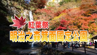 日本大阪箕面瀑布紅葉祭