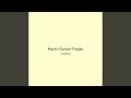 Mystic Sunset Fragile