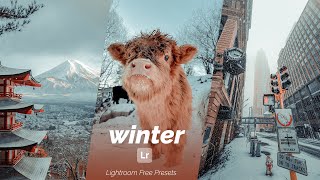 Winter Presets Lightroom Mobile | Free Winter Preset | White Presets | Nil Editing Extra