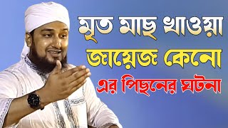 মৃত মাছ খাওয়া  কেনো জায়েজ এ সম্পর্কে হাসানুর রহমান হোসাইন নক্সেবন্দী।। মাছের ঘটনা কেনো মৃত মাছ খাওয়া