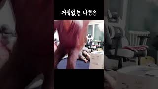 트젠언니들 무서운 티키타카💦  (ft.카메라 돌려) #shorts