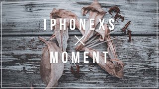 iPhoneでシネマティックな日常を撮る/moment cinematic CAMERA SHOOTOUT