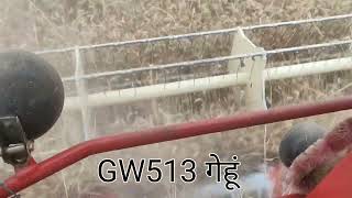 GW 513 उत्पादन 28 qunital acer भविष्य का 322