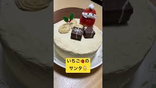 手作りクリスマスケーキ、バタークリームケーキ #food