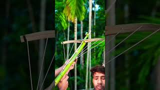 #bamboo #bambooshoot #bamboogun #hunting #archery #amazing #bambooart #funny #diy #slingshots