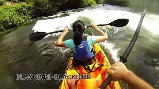 KAYAKING RIVER TRESKA