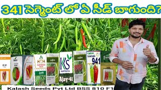 #341 #సెగ్మెంట్ లో ఏ #సీడ్స్ బాగున్నాయి.#మిరప రైతులు కి #341 లో #Top #seeds ?