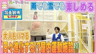 【花金観光】”G.U.M” 雨でも雪でもOK！大人もハマる！かほく市の屋内運動施設！