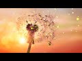 432 hz miracle music by supernatural album manifesting miracles powerful miracle tone