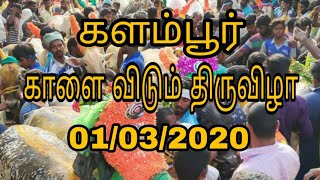 Kalambur All Top Bulls Kaalai Vidum Thiruvza 1080p HD Video 01/03/2020