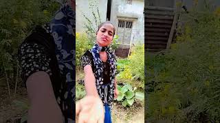 ଖାଲି ପଇସା ପଇସା  🥳😭🤔😱 #viralvideo #funny #shortsfeed #ytshorts #comedy #