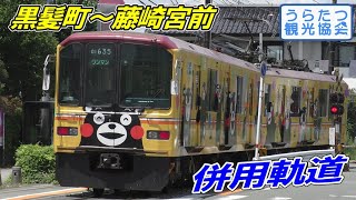 【併用軌道】熊本電気鉄道01系 (くまモン) 藤崎宮前～黒髪町 Kumamoto Electric Railway