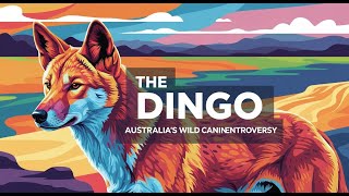 The Dingo Australia S Elusive Apex Predator