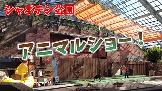 伊豆シャボテン公園のアニマルショー！ 会場大盛り上がり！