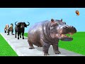 paint animals dinosaur t rex carnivores u0026 herbivores dinosaurs size comparison fountain crossing ani