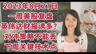 8月27日一周美股复盘，NVDA财报诱多不上当，还好留对冲；美股下周怎么走；标普ES纳指NQ走势技术分析；美元DXY国债TNX；美股中期压力；英伟达NVDA特斯拉TSLA；科技巨头过筛等。