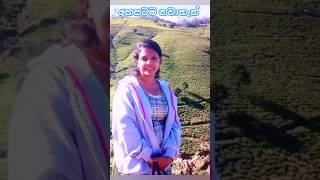 අහසටම නවාතැන්|නුවරඑළිය🏞️ හක්ගල හා හෝර්ටන් තැන්නේ අපේ සන්සුන් ගමන A Journey to Serenity: Nuwara Eliya