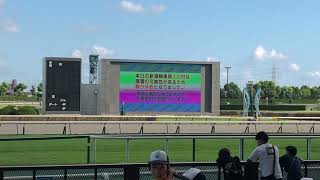 2024/08/25 ＜史上初！？＞新潟競馬第１２レース落雷の危険防止の為、取りやめ（中止）のお知らせ放送時の中京競馬場の様子　中京競馬場