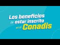 ¿Cuáles son los beneficios de estar inscrito en el Conadis?