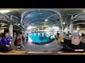 360ﾟFeeding Whale Sharks at the Georgia Aquarium