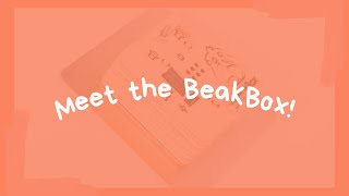 BeakBox: First Interactive Music Toy for Birds