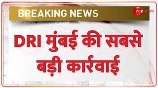 Breaking News: DRI मुंबई की सबसे बड़ी कार्रवाई | Gold Recovered | Hindi news | latest news