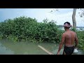 বিল থেকে বোতল দিয়ে চিংড়ি মাছ ধরার কৌশল catching shrimp fish in the haor water