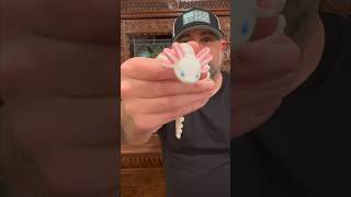 Axolotl….. #axolotl #axolotls #3dprinting #3dprinter #3dprinted #tutorial #maker #3dprintingstudio