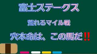 富士ステークス2020【荒れるマイル戦】最終見解