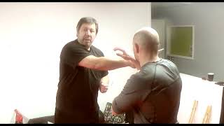 Systema Vlog  Working Inside Movement Part 1: When?