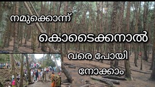 വൈരങ്കോട്കൂട്ടുന്ന കൊടൈക്കനാൽ കാണുവാൻ വേണ്ടി യാത്ര പോയി