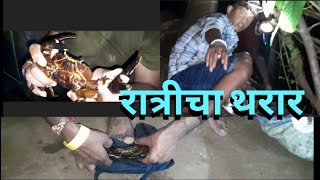 रात्री व्हाळात खेकडे पकडण्याची मजा कोकण village crab catching #crab#subodhvolgs