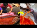 Caviar - How It's Made And Why It's So EXPENSIVE!