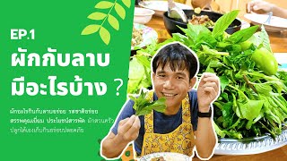 ผักกับลาบมีอะไรบ้าง? ผักอะไรกินกับลาบอร่อย?