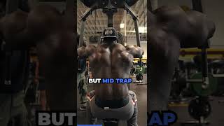 How to engage rear delt, rear trap and mid trap for maximum gains!