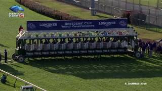 2018 Longines Breeders' Cup Turf - ENABLE