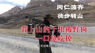 冈仁波齐转山，辛苦背上山的干粮被饿狗一口抢吃掉，气死我了