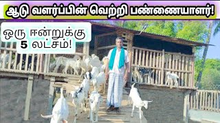 ஆடு வளர்ப்பில் புதிய முயற்ச்சி! நல்ல வருமானம் எடுத்து சாதித்து காட்டும் விவசாயி!