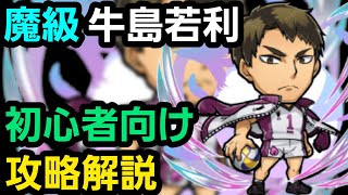 魔級牛島若利をハイキューコラボから始めた人向け編成で攻略解説【コトダマン】