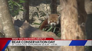 What You Are Doing About It? February Volunteer Orientation, Bear Conservation Day, Ales for Tails