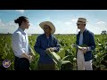 cuba day 4 visiting cuba s famous tobacco fields the heart of tradition kirby allison