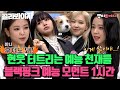 BLACKPINK's variety show collection for an hour.