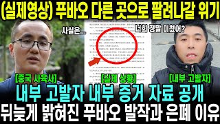 [1월 3일 브이로그] 푸바오 다른 곳으로 팔려나갈 위기! 내부 고발자 증거 자료 공개.. 뒤늦게 밝혀진 발작과 은폐 이유! 실제영상포함